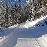 Мини-отель Haus Unterlose 392 Direkt Im Ski- Und Wandergebiet Boedele Шварценберг-им-Брегенцервальд