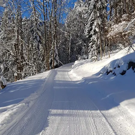 אורחן Haus Unterlose 392 Direkt Im Ski- Und Wandergebiet Boedele שוורצנברג אים ברגנצרוואלד