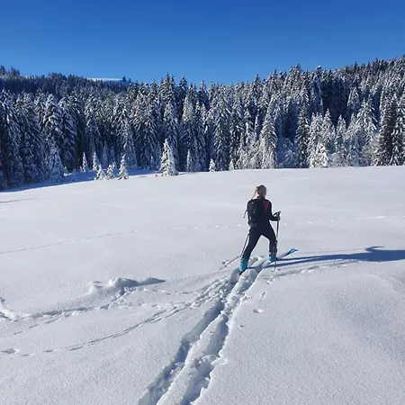 Haus Unterlose 392 Direkt Im Ski- Und Wandergebiet Boedele אורחן