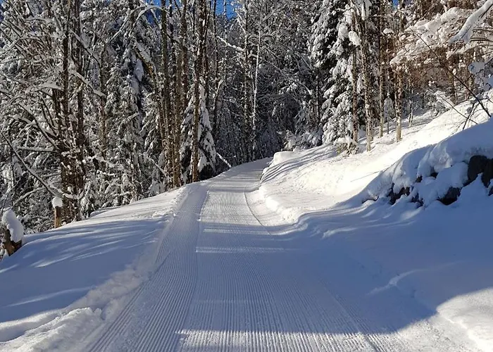 Inn Haus Unterlose 392 Direkt Im Ski- Und Wandergebiet Boedele Schwarzenberg im Bregenzerwald
