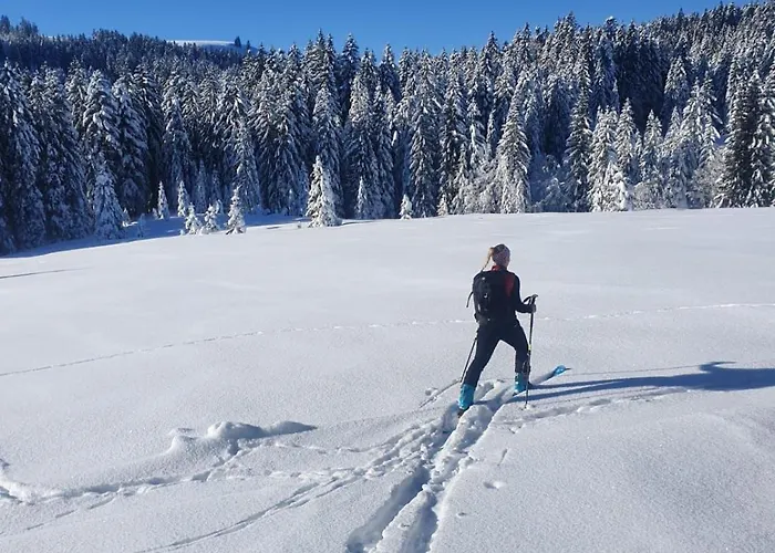 Haus Unterlose 392 Direkt Im Ski- Und Wandergebiet Boedele Inn